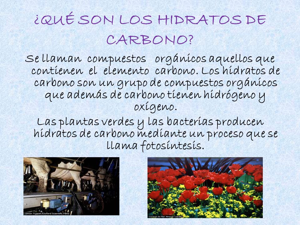 Las enfermedades de la sangre al alcoholismo